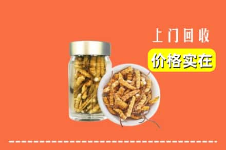 收购资讯:安顺市普定回收散虫草
