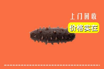 收购资讯:安顺市普定回收海参
