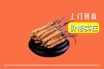 收购资讯:安顺市普定回收冬虫夏草